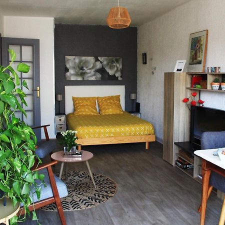 Le Clos Pichot - Studio Avec Balcon, Parking Prive - 5Mn Gare Шартр Экстерьер фото